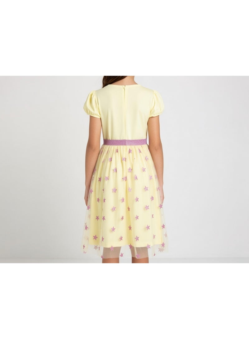 Cinderella Cendrella  | Tulle Dress | Yellow - Image 3